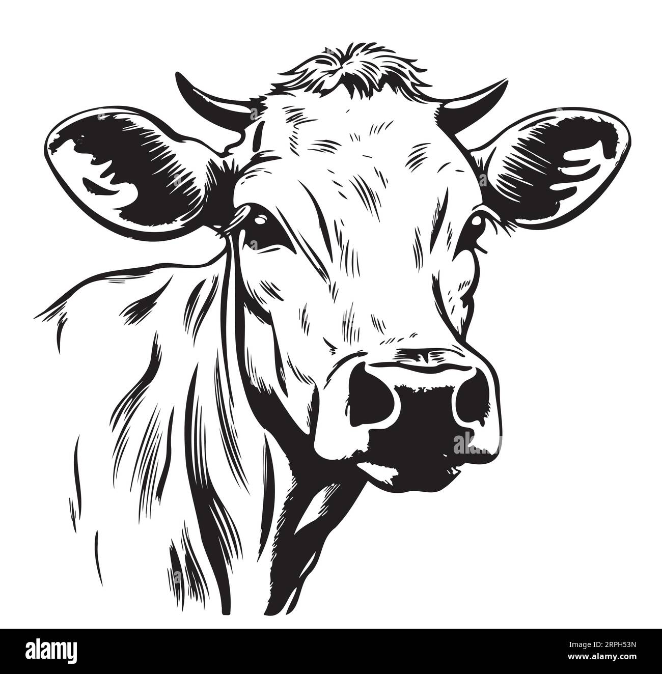 Farm young Cow animal sketch hand drawn illustration Cartoon Stock ...
