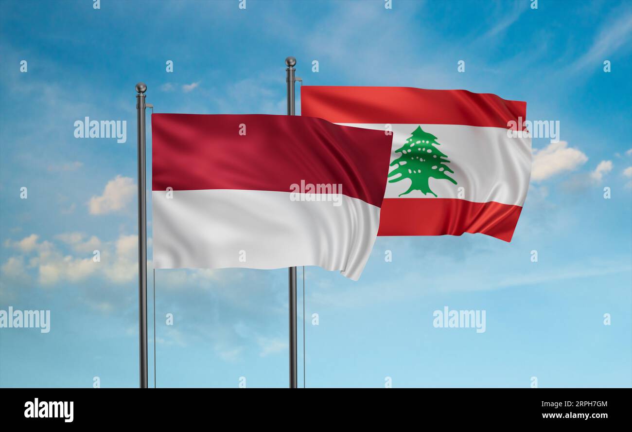 The Diplomatic Strain on Contributing Nations