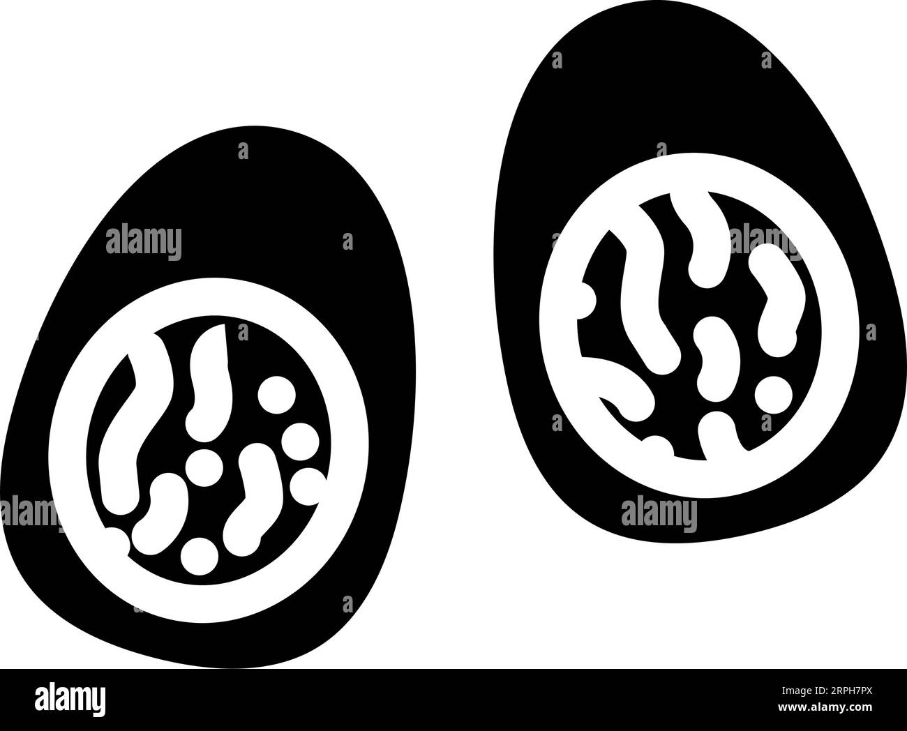 boiled egg food glyph icon vector illustration Stock Vector Image & Art