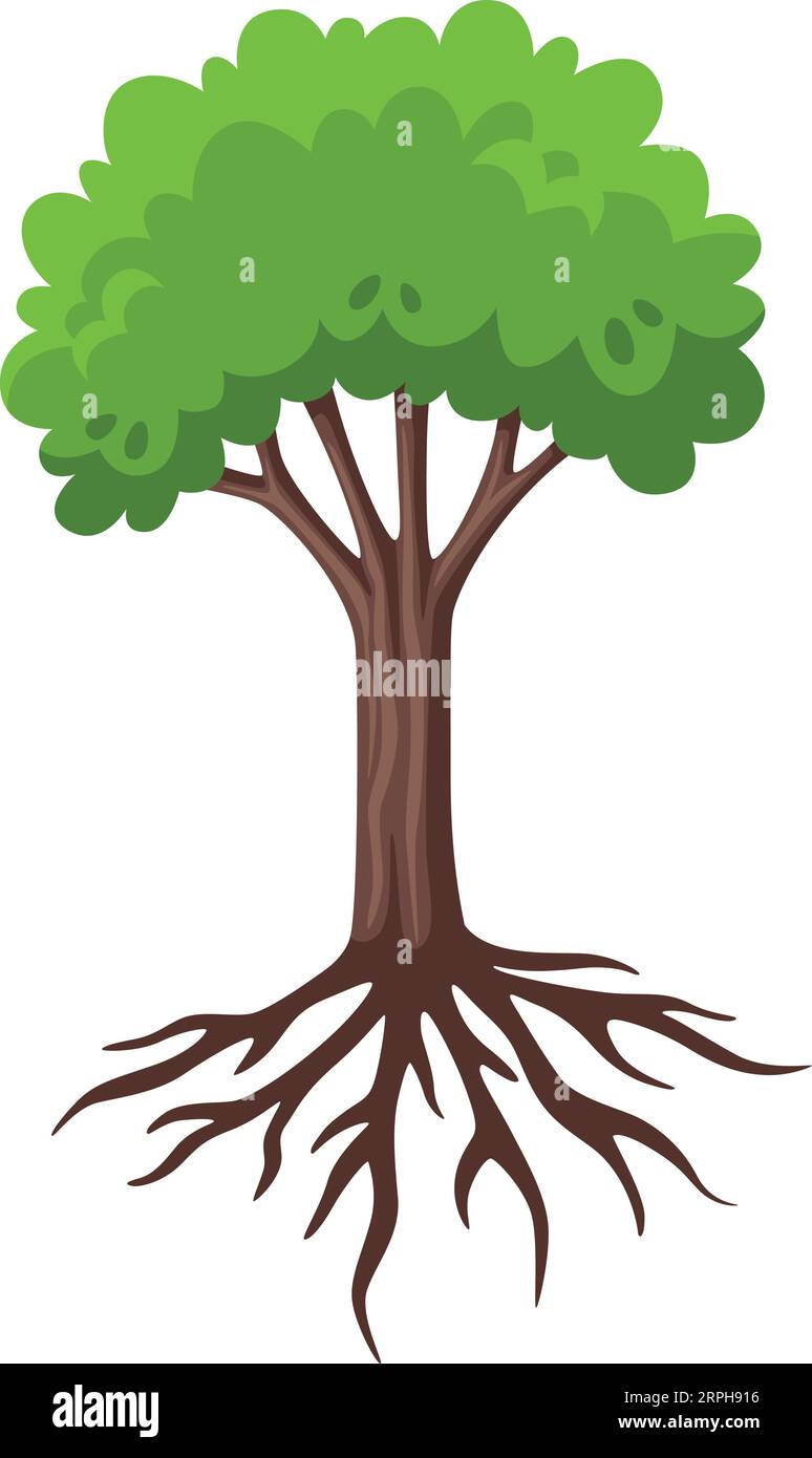 Tree roots underground Stock Vector Images Alamy