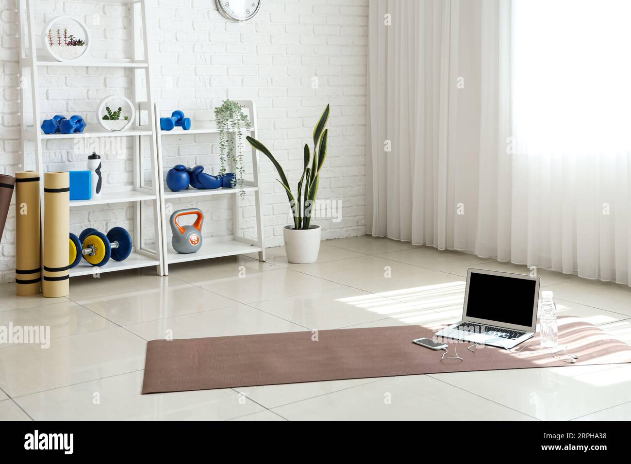 Interior of gym with shelving unit and sports equipment Stock Photo Alamy