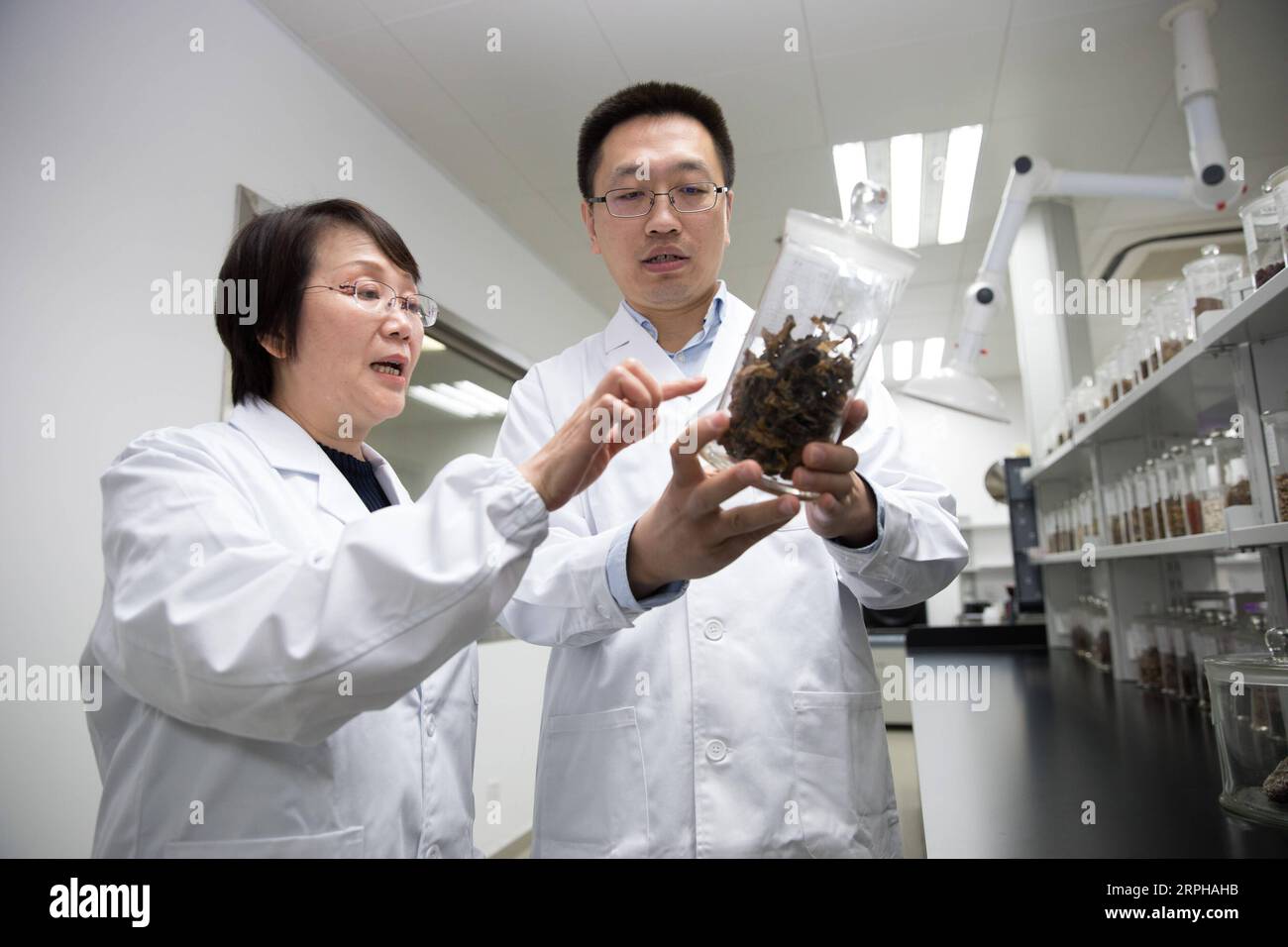 191103 -- SHANGHAI, Nov. 3, 2019 -- Geng Meiyu L, key inventor of the drug GV-971, also a researcher of Shanghai Institute of Materia Medica under Chinese Academy of Sciences, discusses the research progress with her colleague at the Green Valley institute in Shanghai, east China, Nov. 3, 2019. A home-grown drug for treating Alzheimer s disease has been approved by the National Medical Products Administration to hit the market, according to its developers Saturday. The drug, GV-971, was developed by Ocean University of China, Shanghai Institute of Materia Medica under Chinese Academy of Scienc Stock Photo
