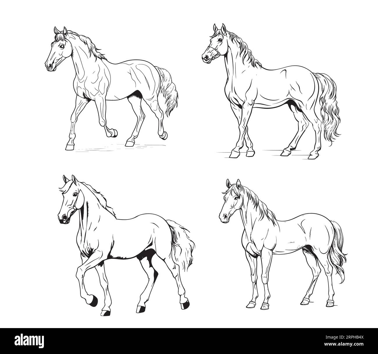 Horse set hand drawn sketch Vector Farm animals Stock Vector Image ...