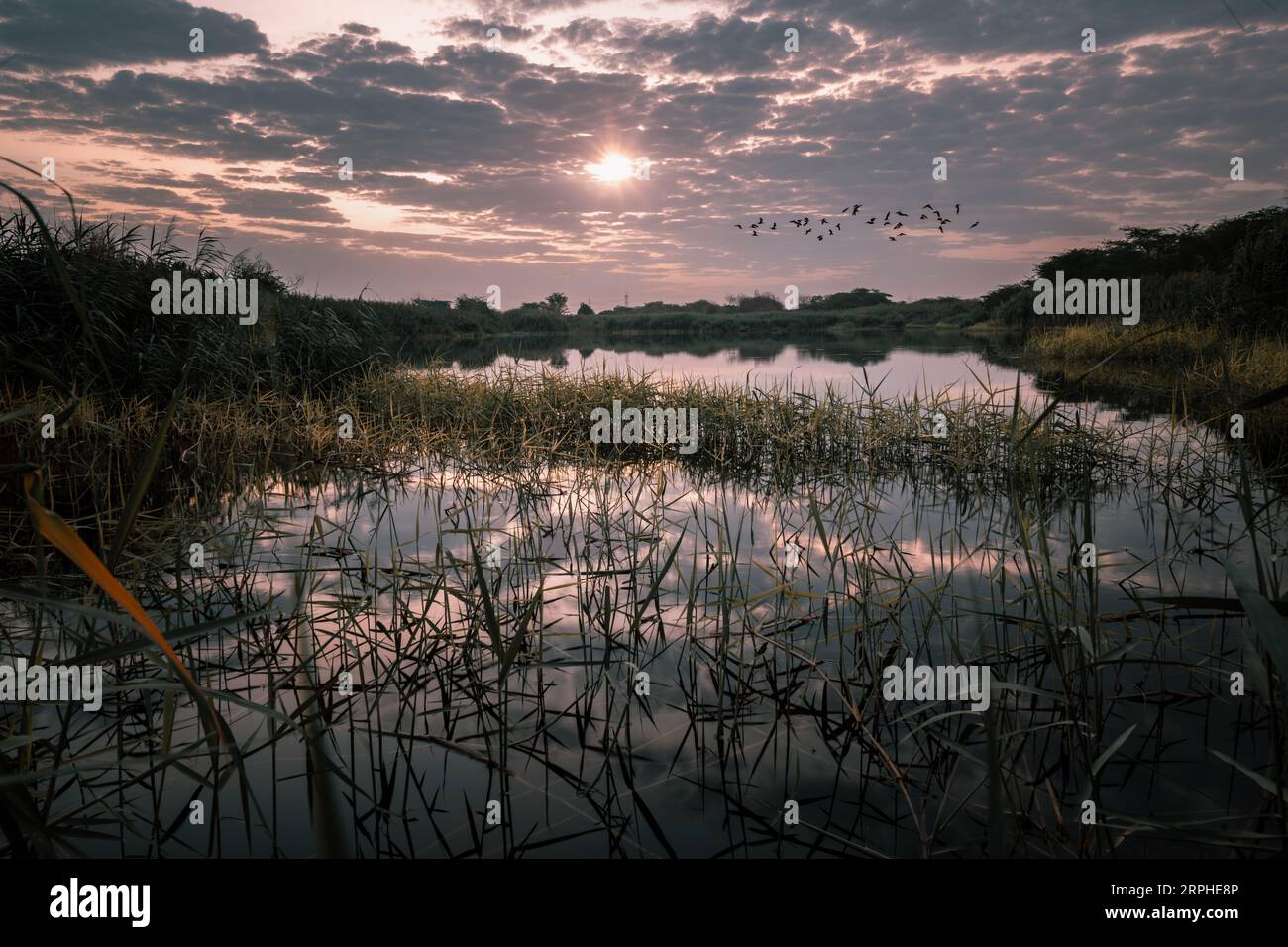 Jeddah Art Promenade. Jeddah City New Beach , Saudi Arabia Stock Photo