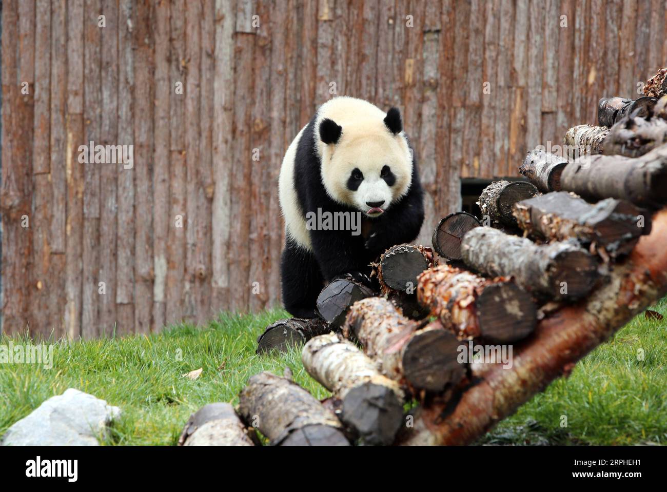 jiawuha-hi-res-stock-photography-and-images-alamy