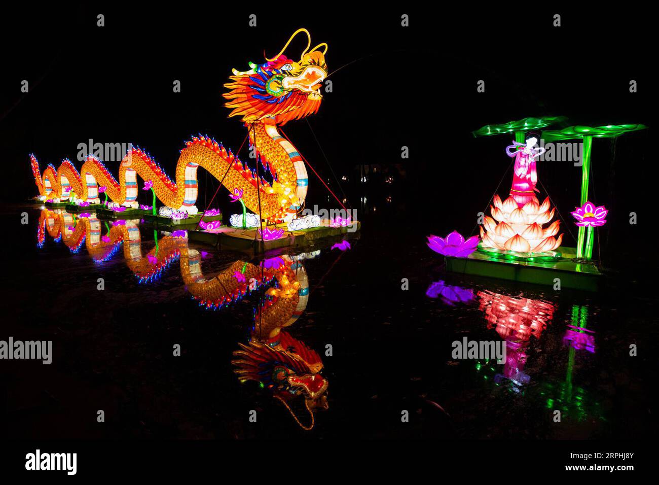 191110 -- LOS ANGELES, Nov. 10, 2019 -- Light installations are displayed during the Moonlight Forest Magical Lantern Art Festival at the Los Angeles County Arboretum and Botanic Garden in Los Angeles, the United States, Nov. 9, 2019. Photo by /Xinhua U.S.-LOS ANGELES-LANTERN ART FESTIVAL QianxWeizhong PUBLICATIONxNOTxINxCHN Stock Photo