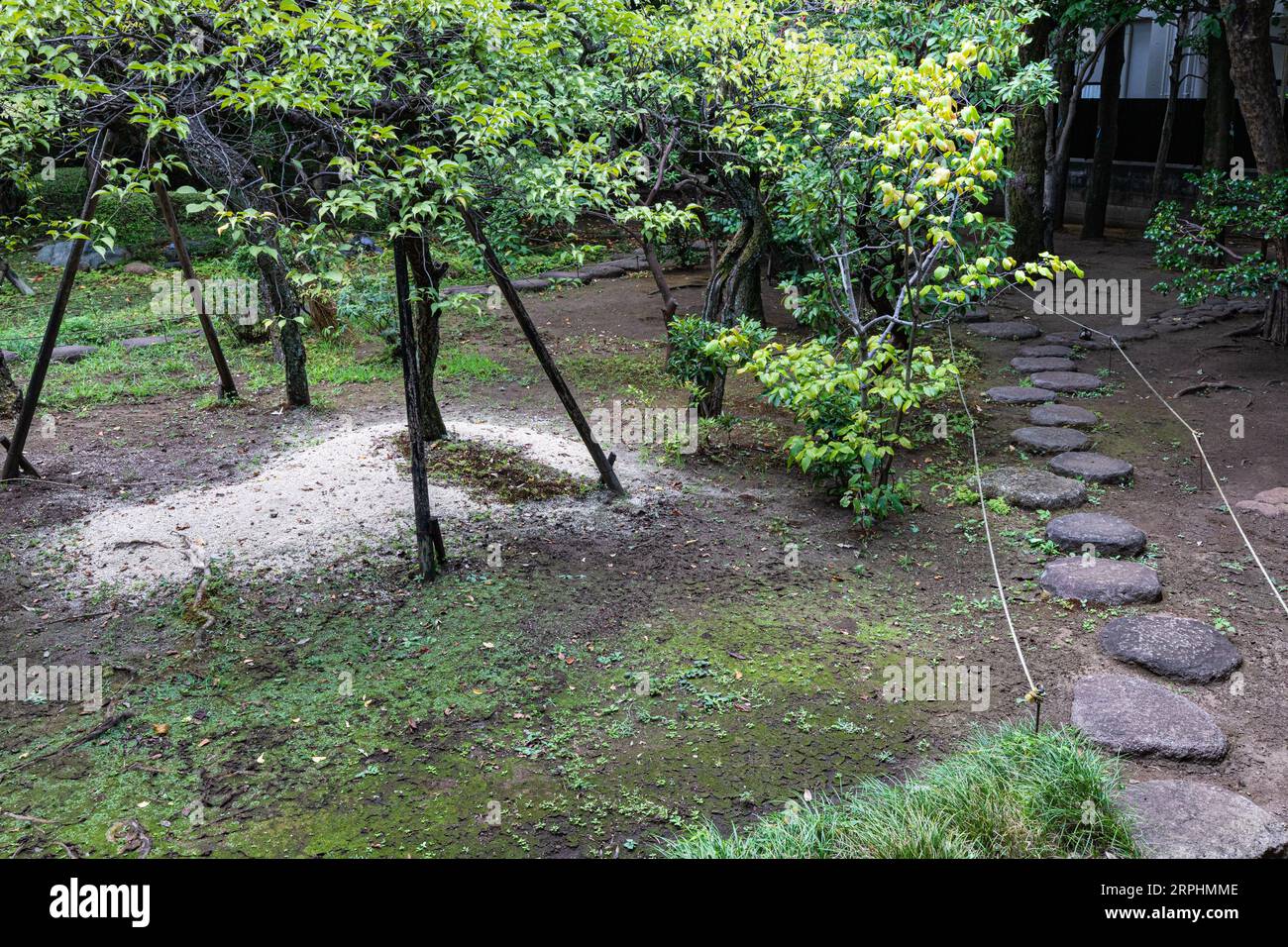 The former Inomata residence, designed by architect Isohachi Yoshida is a Sukiya-style building surrounded by a Japanese garden that spreads around th Stock Photo