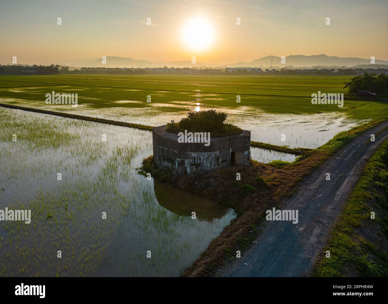 Paddy field during sunrise at Kedah state of Malaysia Stock Photo - Alamy