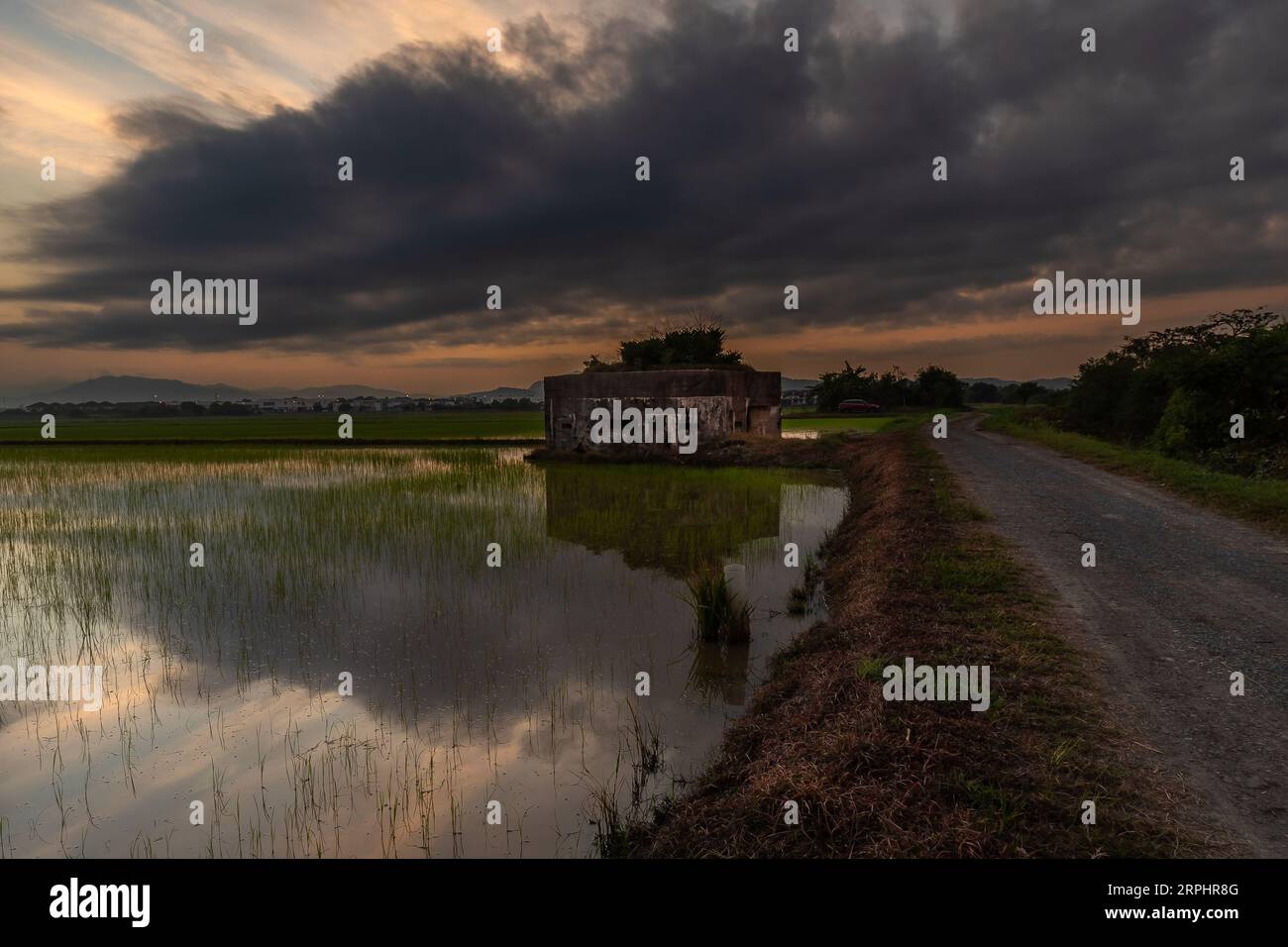 Paddy field during sunrise at Kedah state of Malaysia Stock Photo - Alamy