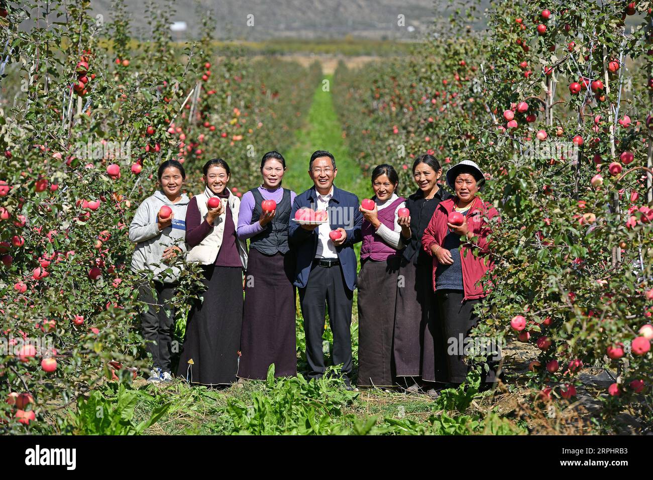 Hongjiang hi-res stock photography and images - Page 2 - Alamy