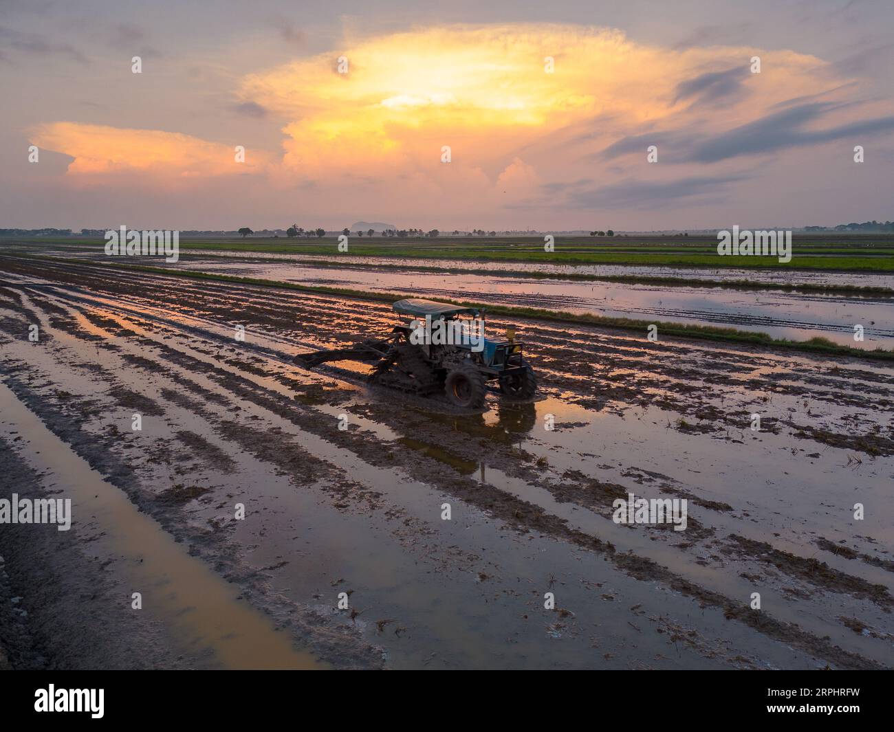 Machine plowing paddy field season in Kedah Malaysia Stock Photo Alamy