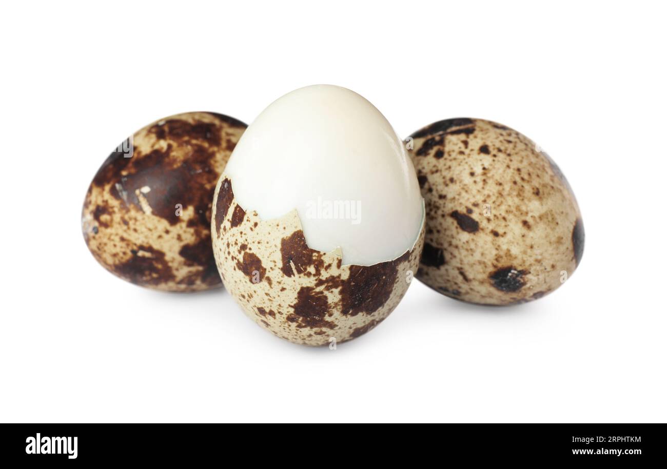 Boiled quail eggs in shell isolated on white Stock Photo