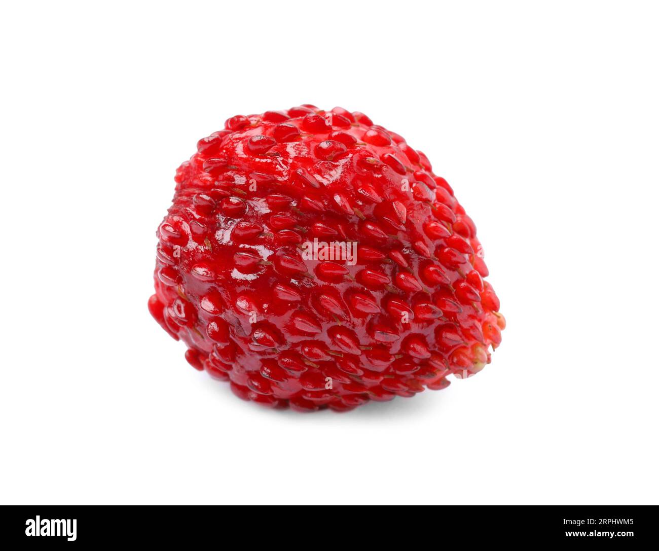One ripe wild strawberry isolated on white Stock Photo - Alamy