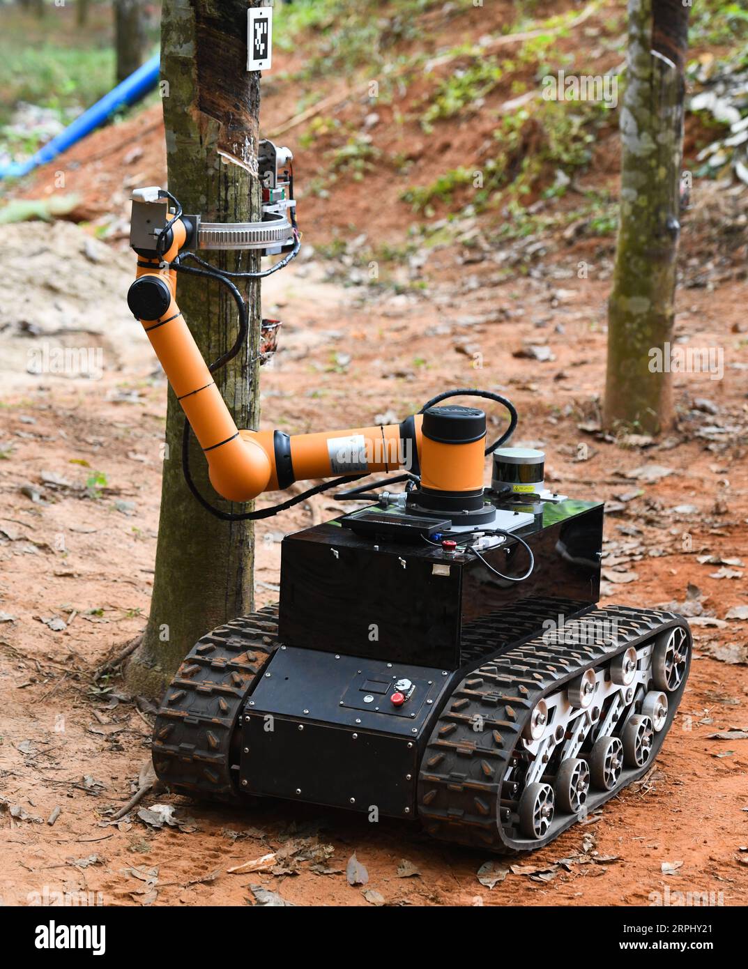 191119 -- HAIKOU, Nov. 19, 2019 -- An autonomous rubber-tapping
