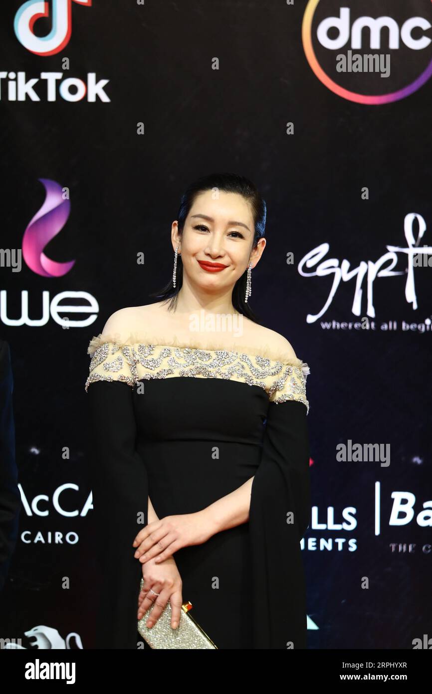 191120 -- CAIRO, Nov. 20, 2019 Xinhua -- Chinese actress Qin Hailu attends Cairo International Film Festival in Cairo, Egypt, on Nov. 20, 2019. The 41st edition of Cairo International Film Festival CIFF kicked off on Wednesday evening in a festive red carpet ceremony at Egypt s Cairo Opera House, gathering movie stars and filmmakers from different parts of the world. Xinhua/Ahmed Gomaa EGYPT-CAIRO-INT L FILM FESTIVAL PUBLICATIONxNOTxINxCHN Stock Photo