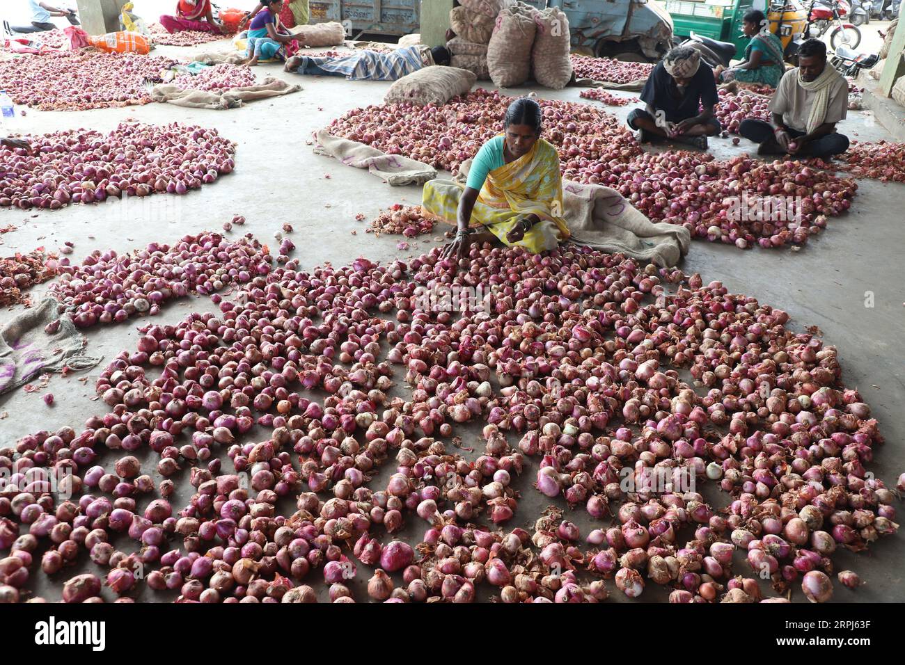 Onion price hires stock photography and images Alamy