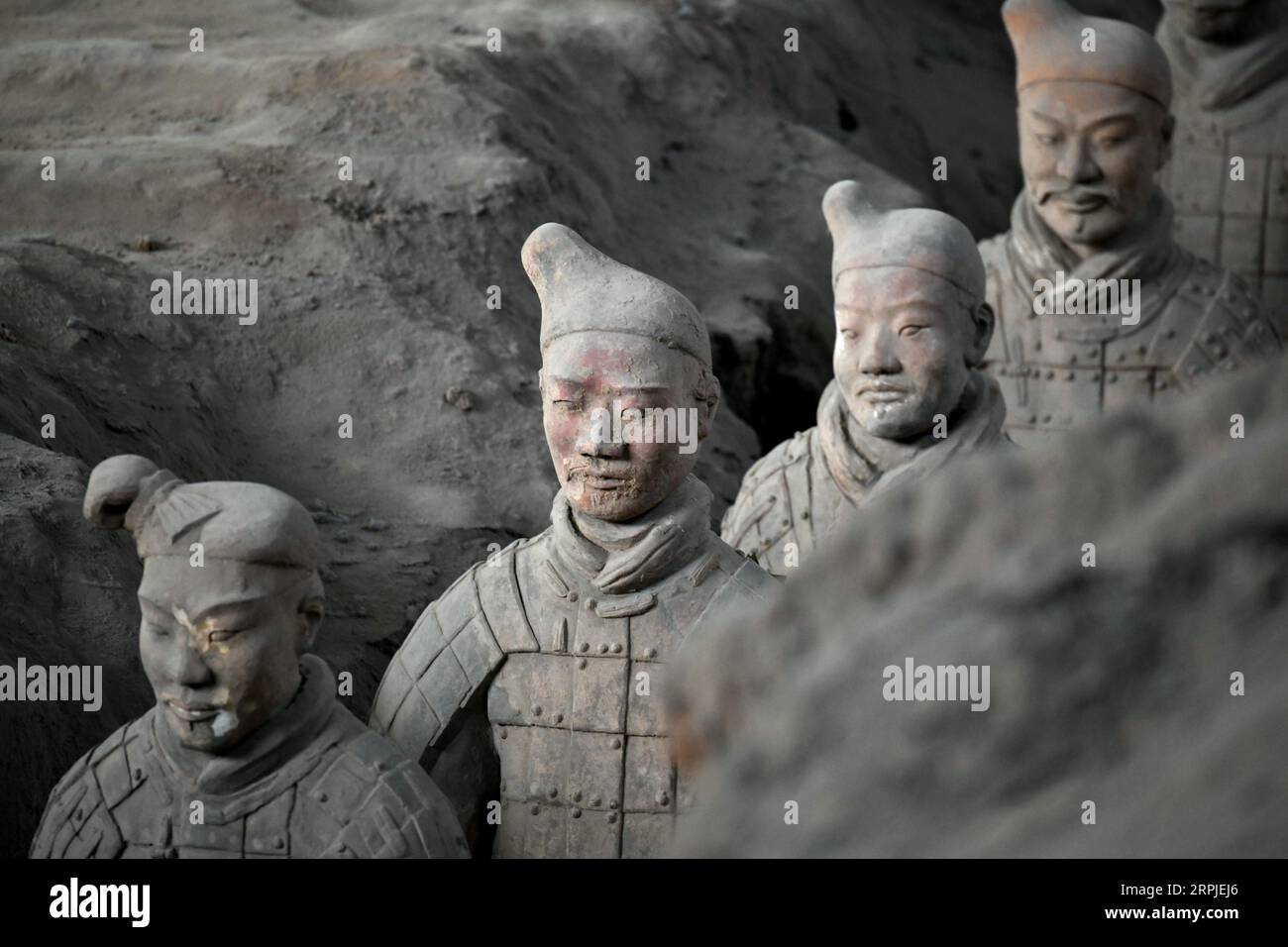Warriors chinese heritage 2019 sales