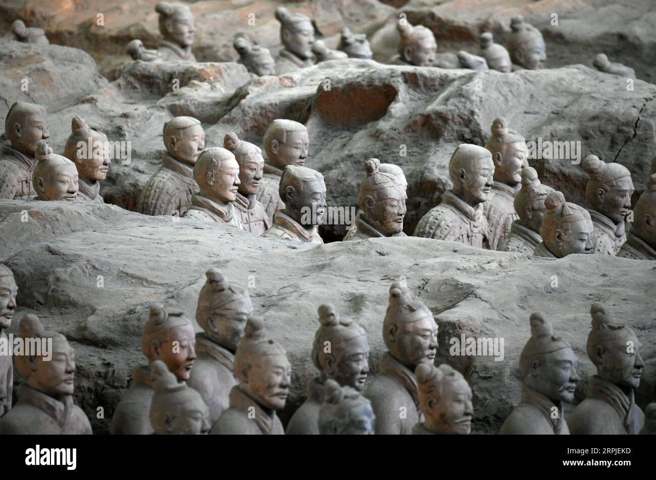 Warriors chinese heritage 2019 sales