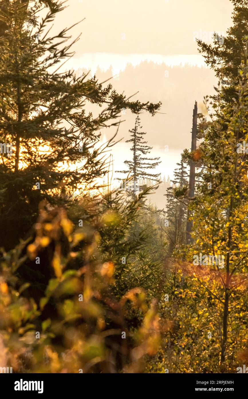 Bellingham mountains hi-res stock photography and images - Alamy