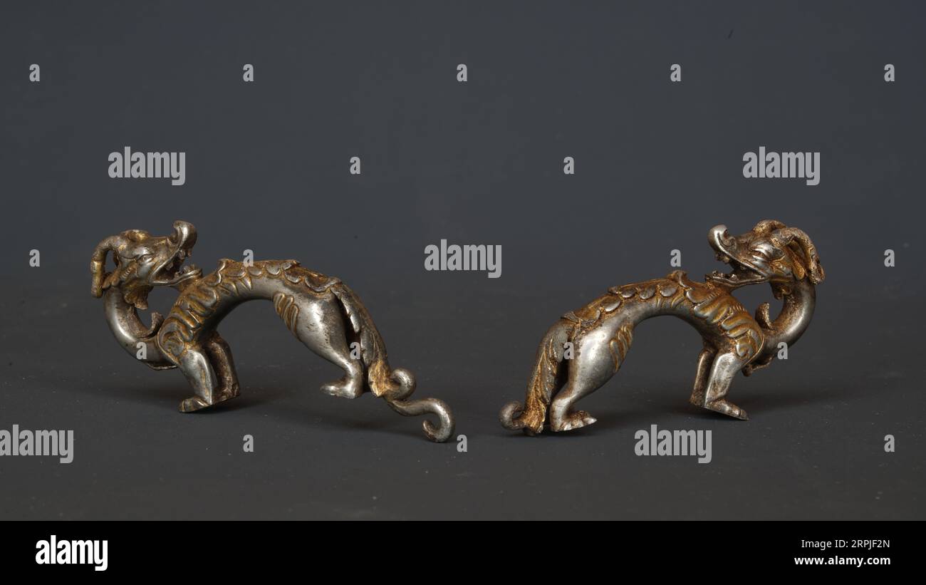 191208 -- BEIJING, Dec. 8, 2019 -- File photo taken on July 5, 2019 shows a pair of gilded silver dragons discovered in a tomb in Arkhangai Province of Mongolia by a China-Mongolia joint archaeological team. The discovery of the tomb was listed as the Top 10 Discoveries of 2019 by the Archaeology Magazine, a publication of the Archaeological Institute of America. XINHUA PHOTOS OF THE DAY AxSigang PUBLICATIONxNOTxINxCHN Stock Photo