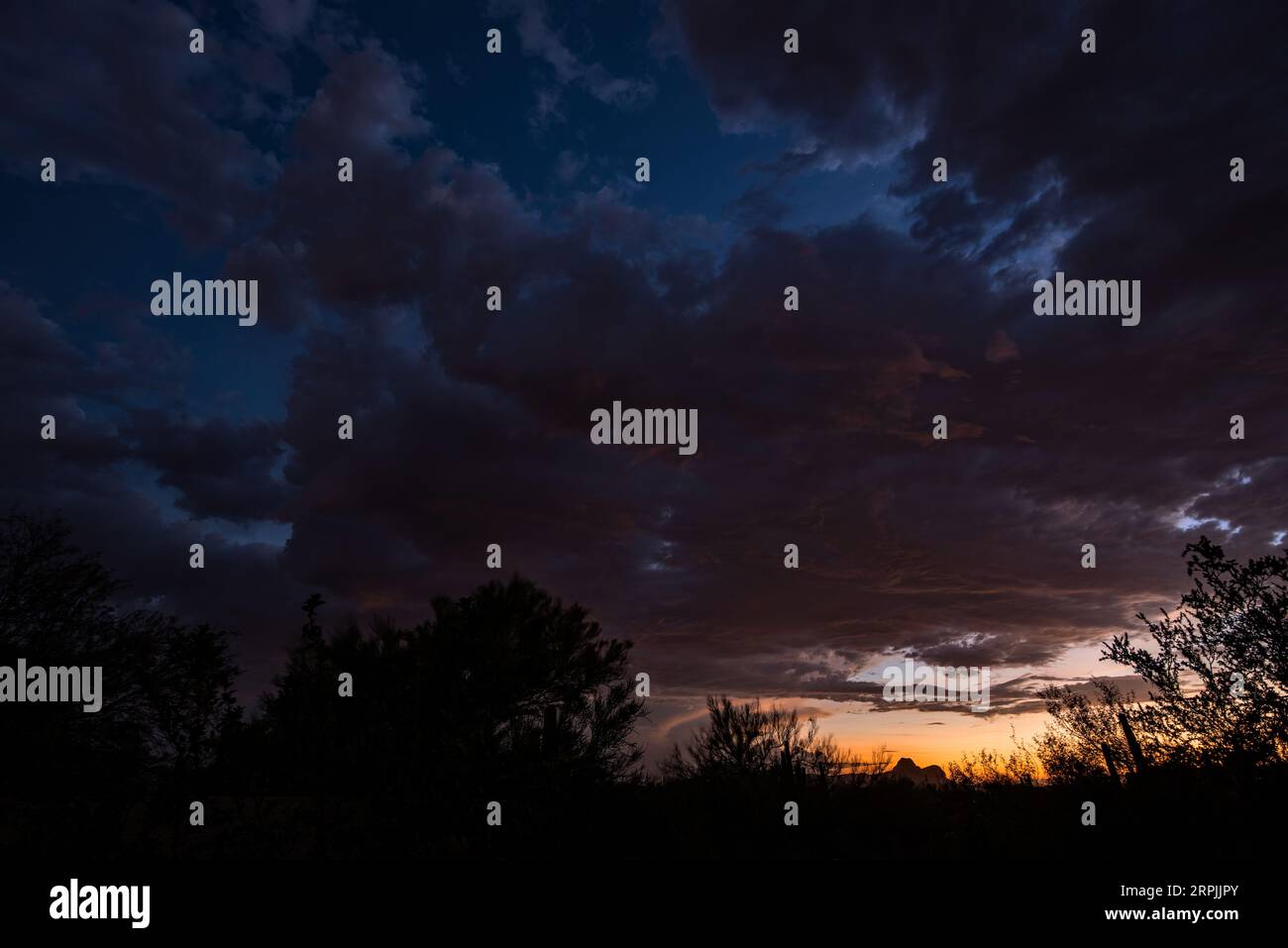 Sunset in sonoran desert hi-res stock photography and images - Alamy