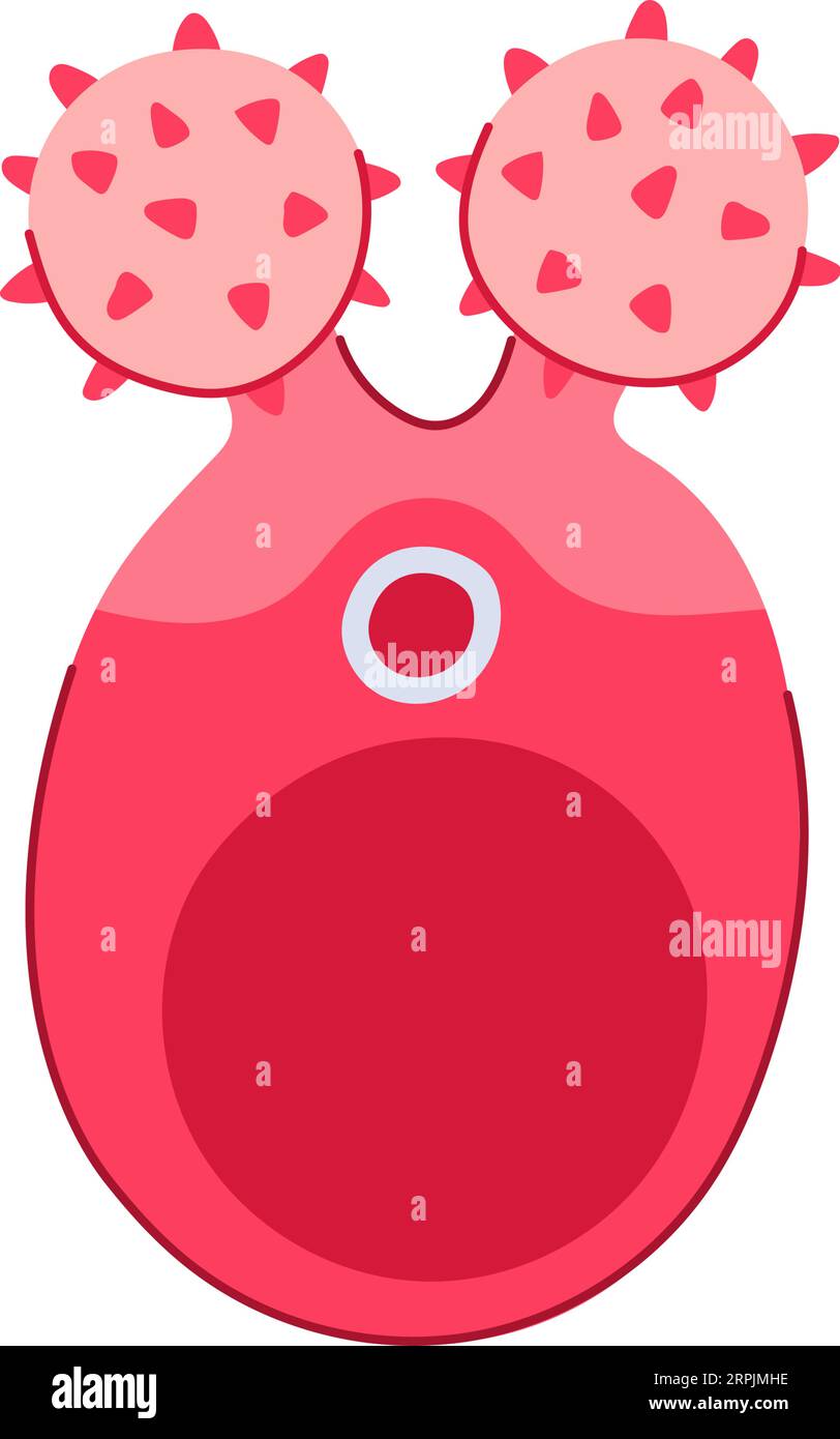 skin face massager cartoon vector illustration Stock Vector Image & Art