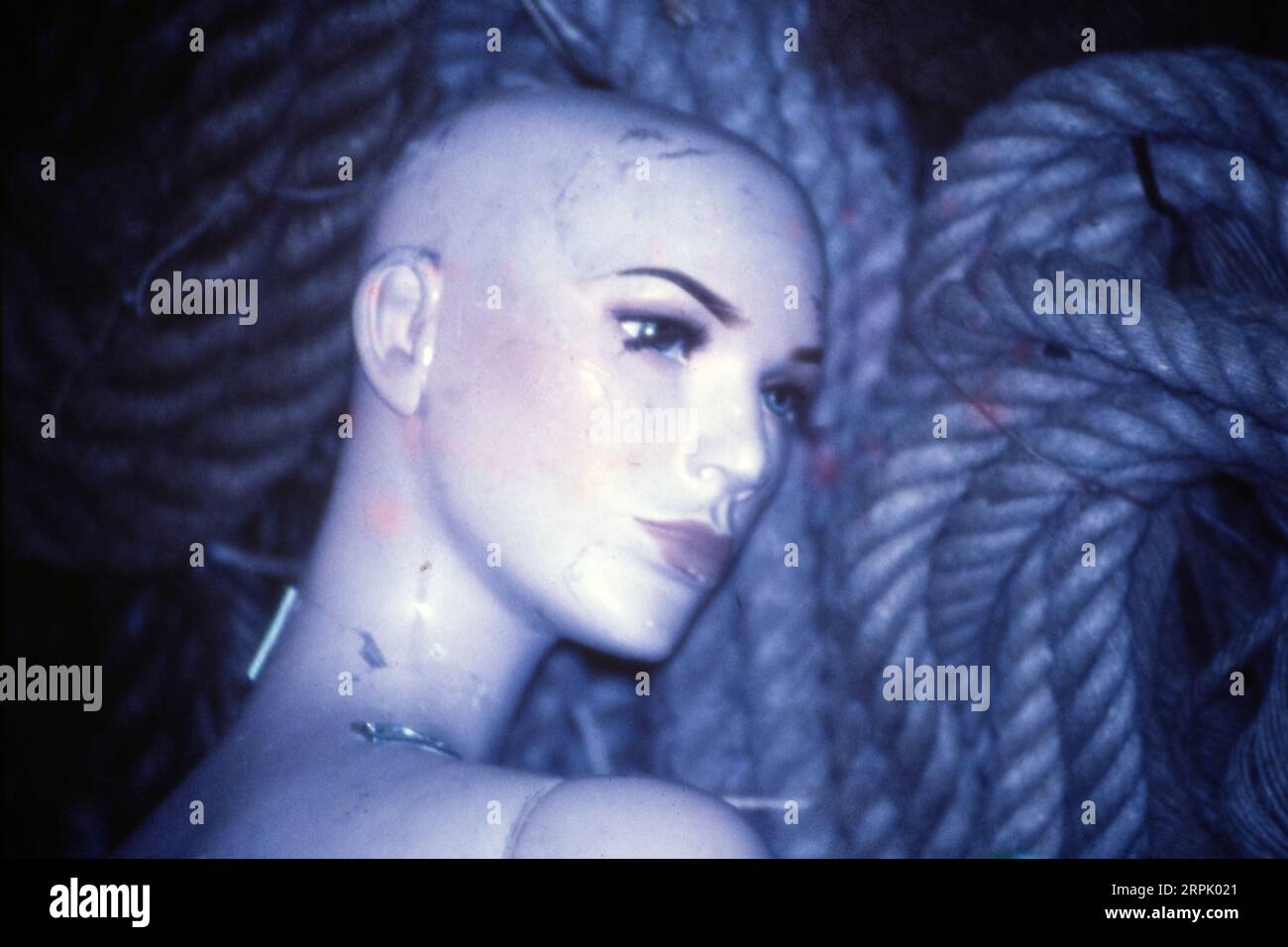 Humanoid robotics in the shape of a mannequin Stock Photo - Alamy