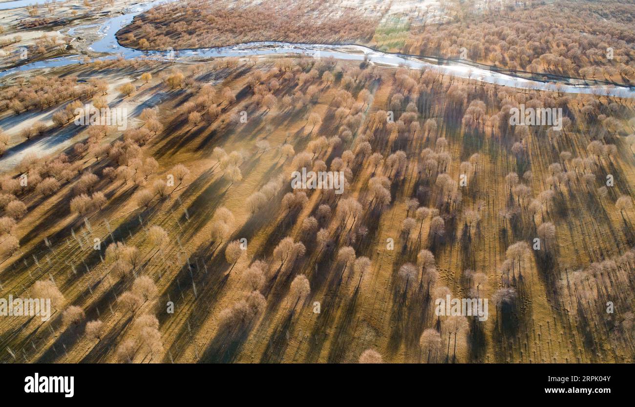 191223 -- BEIJING, Dec. 23, 2019 Xinhua -- Aerial photo taken on Dec. 8, 2019 shows the scenery along the Yarlung Zangbo River in southwest China s Tibet Autonomous Region. From scientific expedition at the Lake Yamzbog Yumco to wildlife conservation patrol mission in Shuanghu County at an average altitude of more than 5,000 meters, from a traditional festive horse racing to annual facelift of the Potala Palace, the photographers of Xinhua captured local people s daily lives and achievements on social development in Tibet in 2019, the year marking the 60th anniversary of the campaign of democr Stock Photo