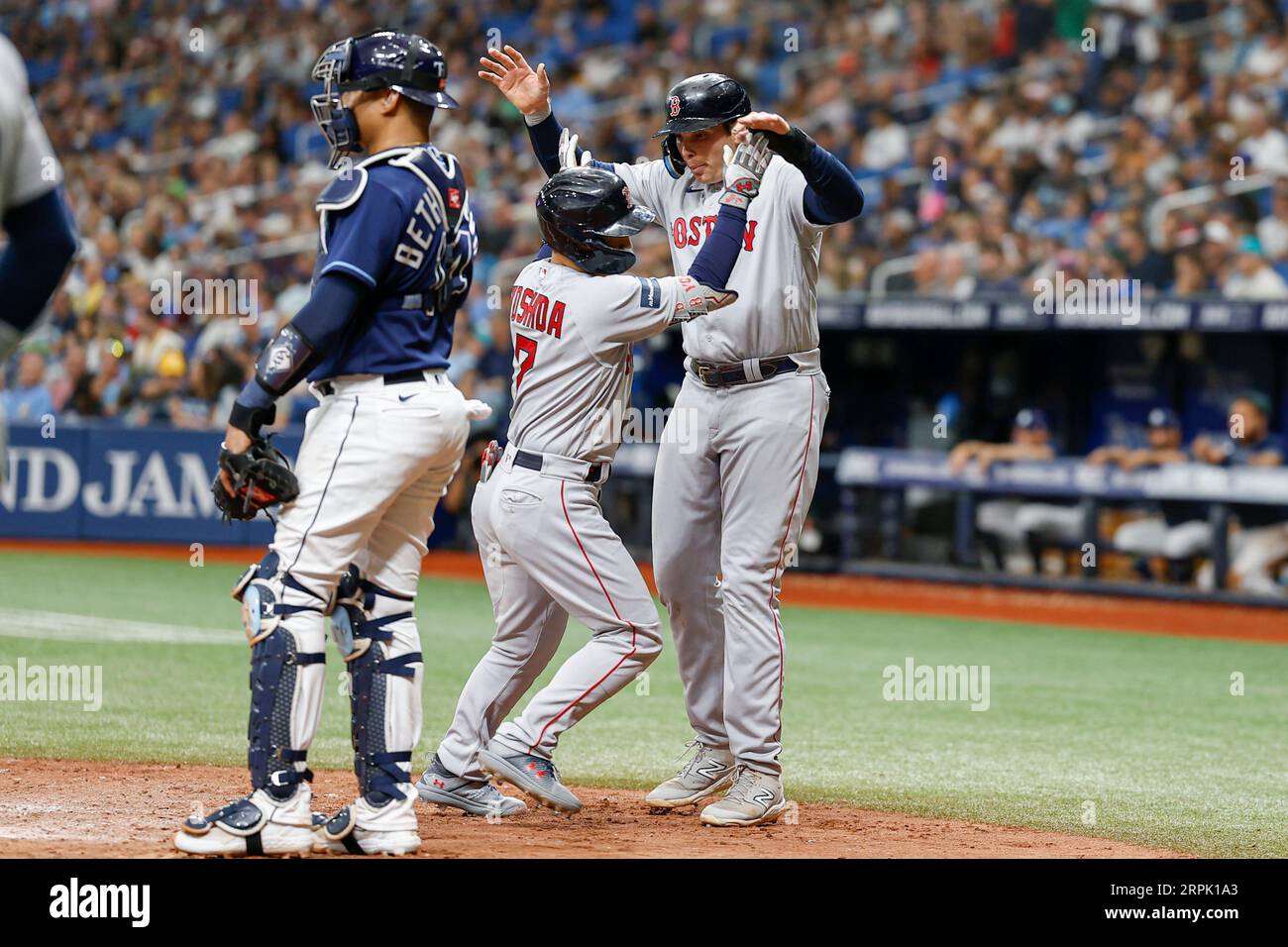 St. Petersburg, FL USA; Boston Red Sox left fielder Masataka Yoshida (7) is congratulated by first baseman Triston Casas (36) after homering in the to Stock Photo