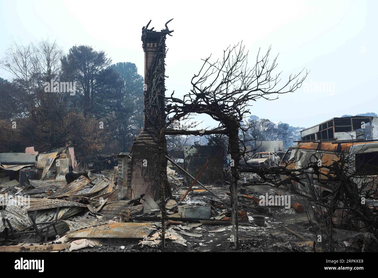 Australia canbera bushfire hi-res stock photography and images - Alamy