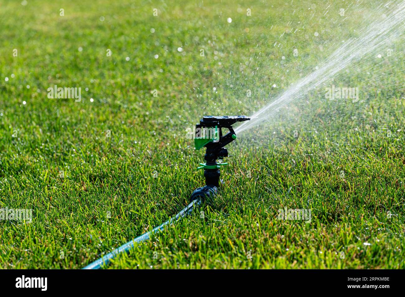Automatic sprinkler system watering the lawn on a background of green ...