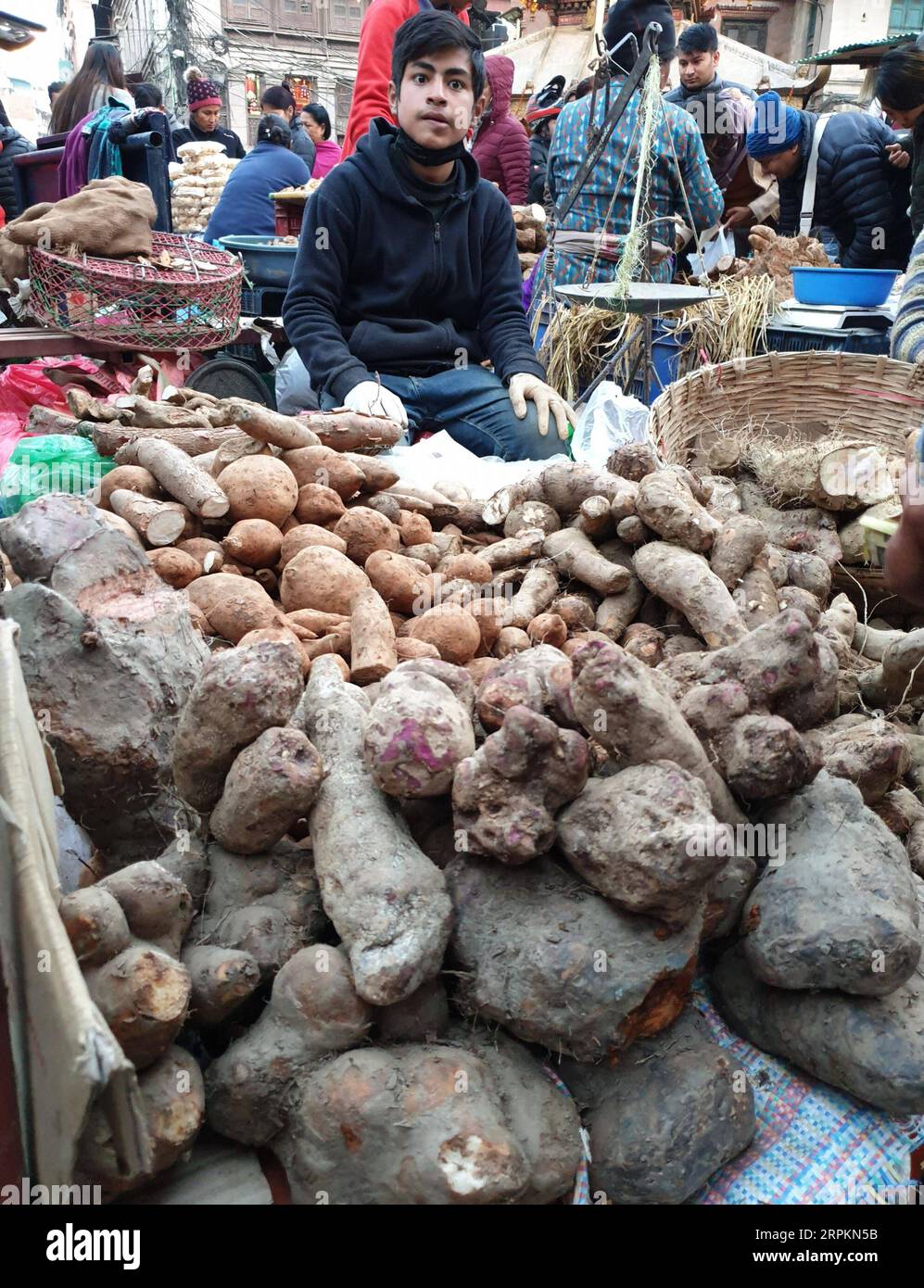 Tarul and maghe sankranti hires stock photography and images Alamy