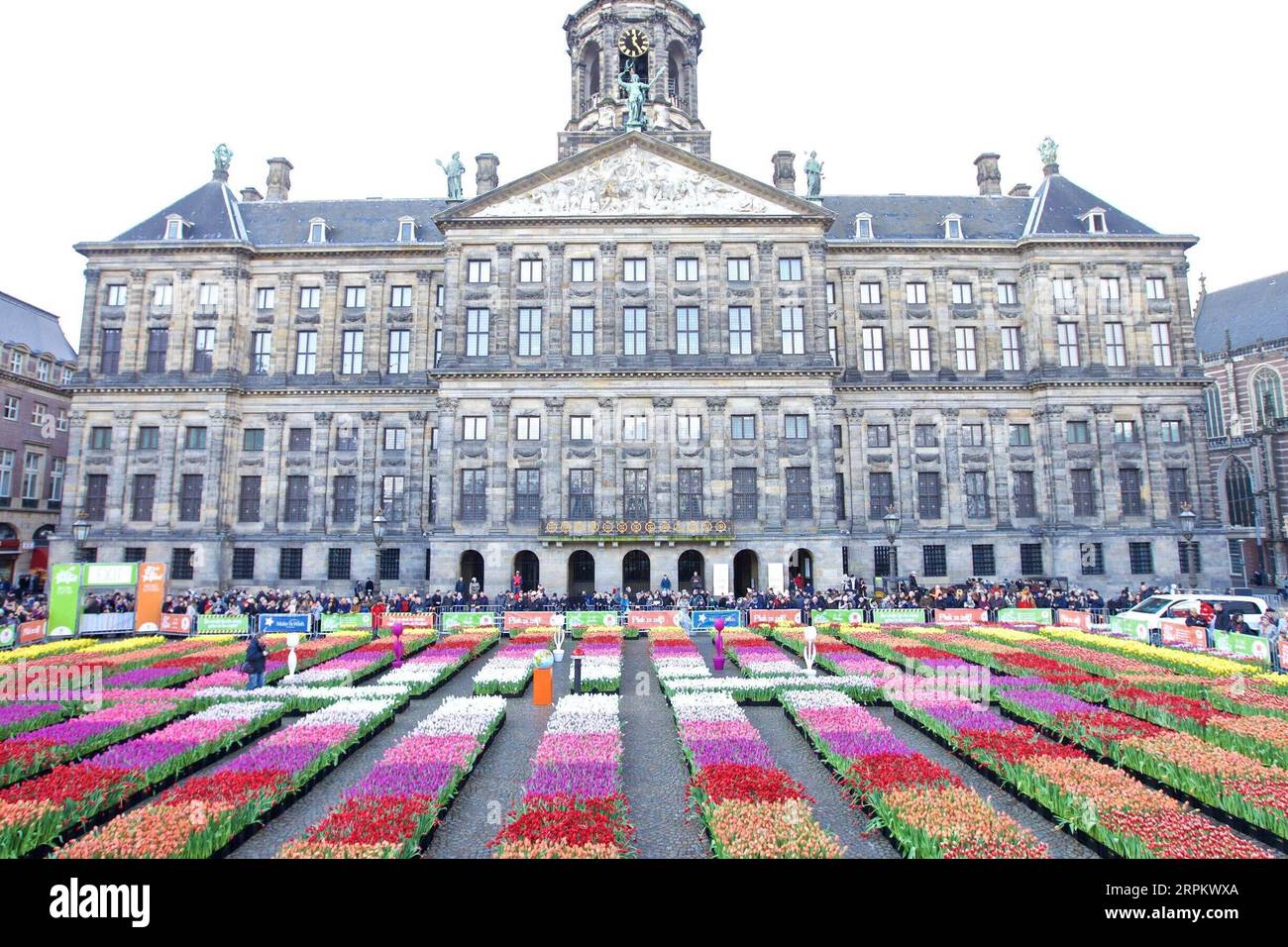200119 AMSTERDAM, Jan. 19, 2020 Neatly arranged tulips are seen on the Netherlands