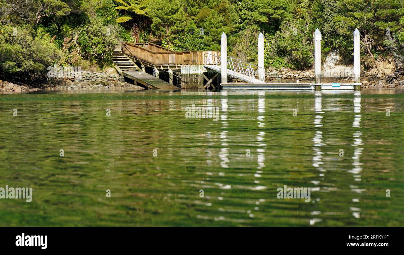The boat landing jetty at Kaipupu Point Mainland Island sanctuary