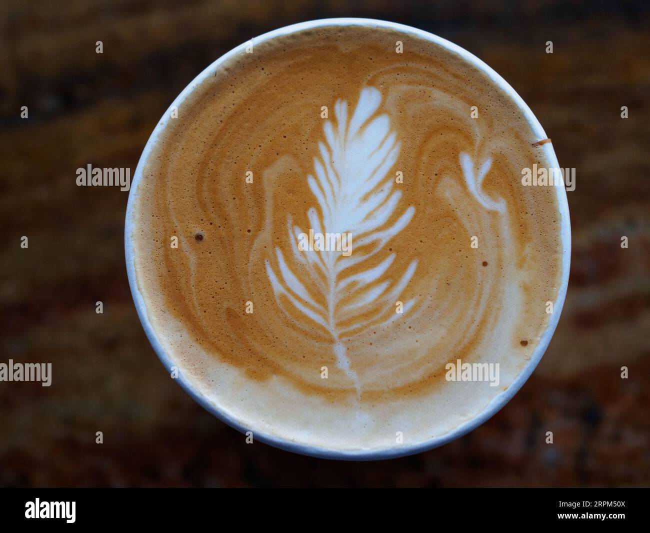 A close-up of a take away cappuccino. Stock Photo