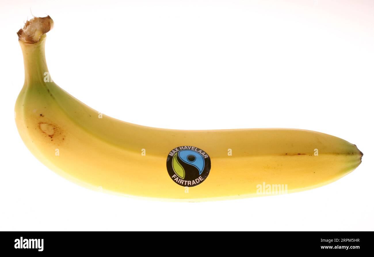 Netherlands, bananas with the Fairtrade hallmark, meaning they