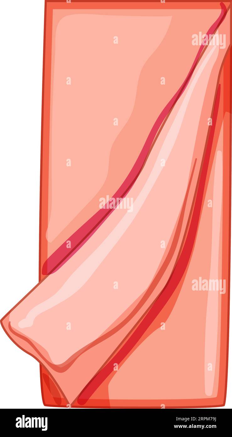 tablecloth kitchen towel cartoon vector illustration Stock Vector Image