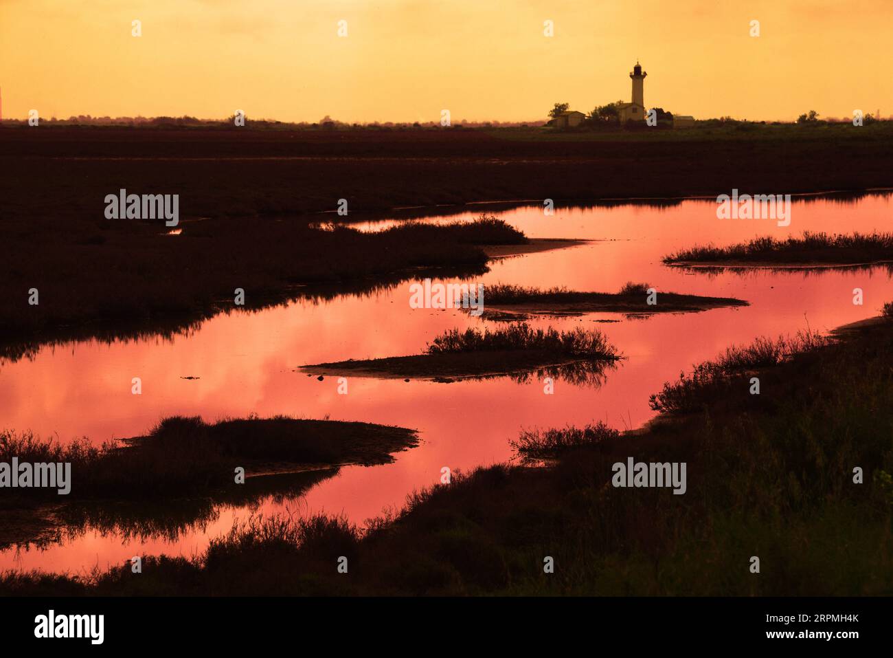 lighthouse La Gacholle le matin au milieu des etangs en Camargue, France, Bouches du Rhone, Camargue, Saintes Maries de la Mer Stock Photo