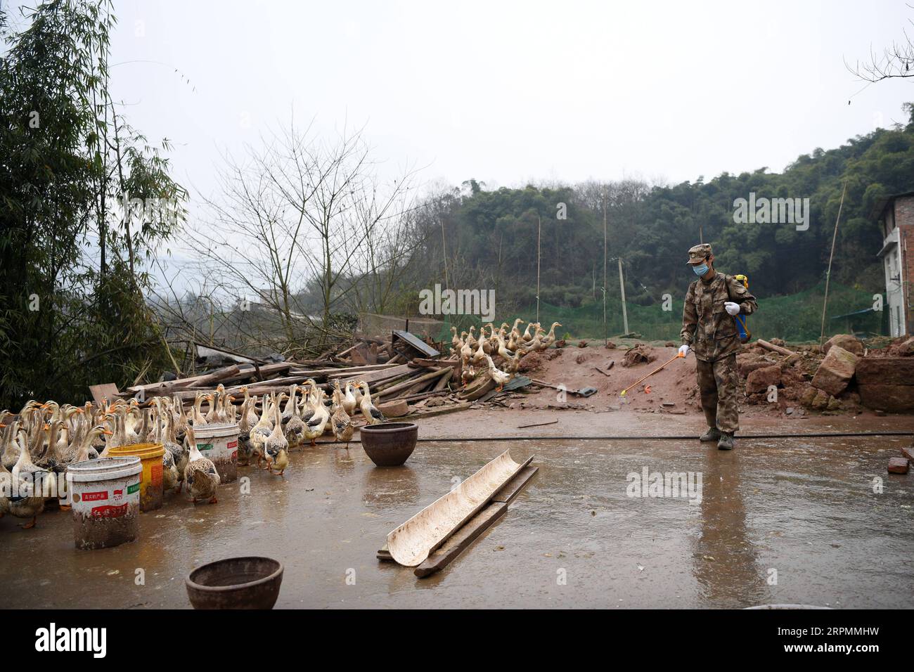 200214 -- CHONGQING, Feb. 14, 2020 -- A staff member disinfects farmer Fu Zongyong s duck shed at Shuangjing village of Yufengshan Town in Yubei District of southwest China s Chongqing Municipality, Feb. 14, 2020. Since the outbreak of the novel coronavirus, Fu Zongyong, a poverty-striken farmer has been unable to sell his ducks due to the closing of live poultry markets. Local authorities sent staff to help him with quarantine and sales of ducks to ensure his income during the battle against the epidemic.  CHINA-CHONGQING-NCP-PREVENTION-POVERTY ALLEVIATION CN TangxYi PUBLICATIONxNOTxINxCHN Stock Photo