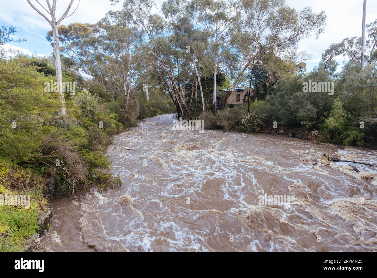 MELBOURNE, AUSTRALIA, OCTOBER 14 Darebin Parklands heavily flooded on