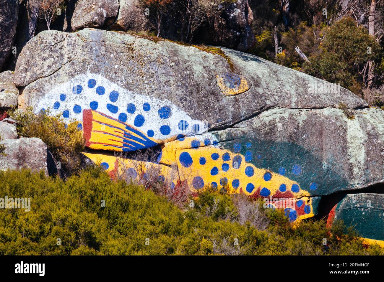 DERBY, AUSTRALIA, SEPTEMBER 23, 2022: Aboriginal fish painting on rock and surrounding landscape in the rural town of Derby on a cold spring morning Stock Photo