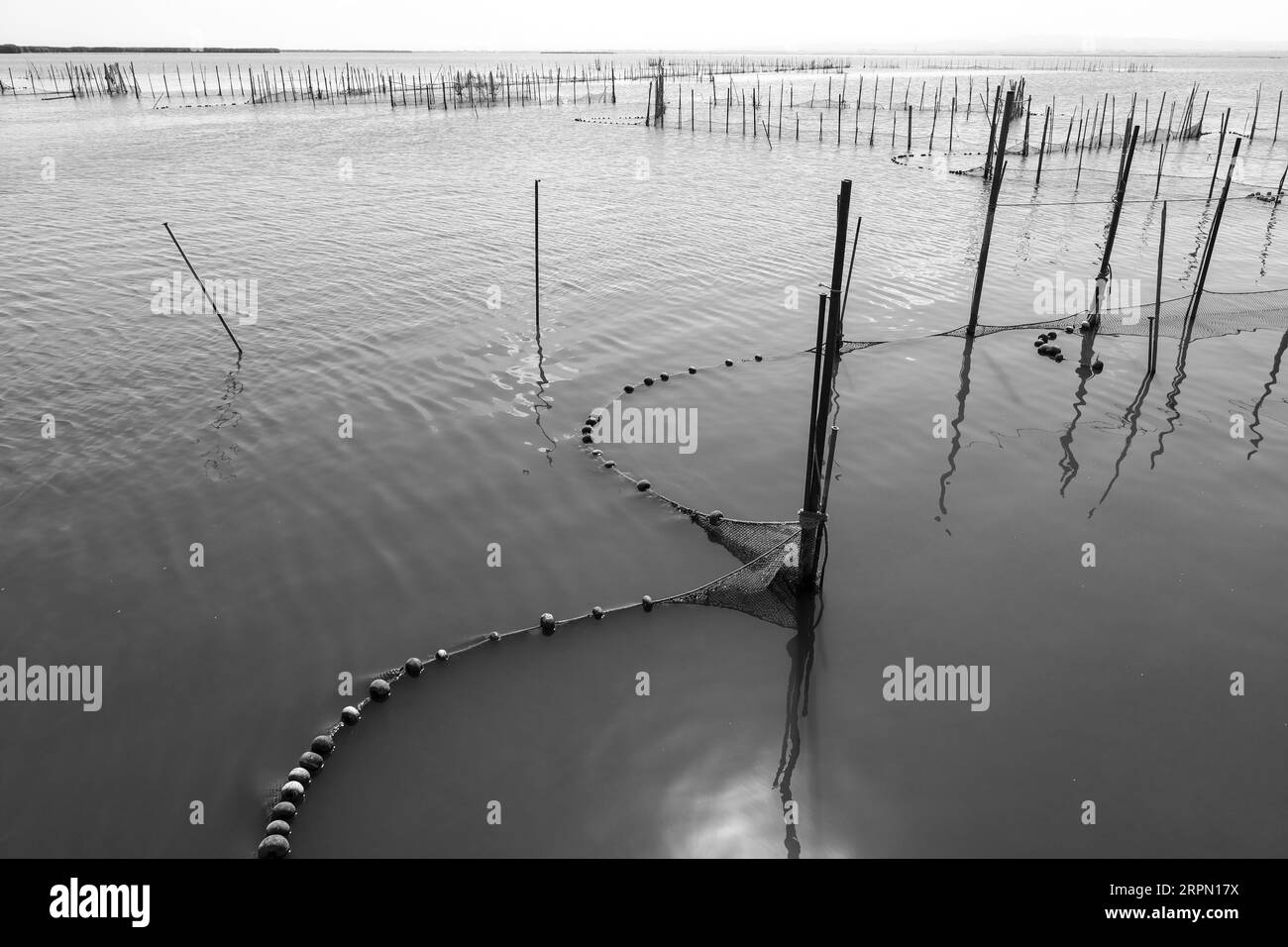 Typical Fishing System with Rods and Sticks in the Albufera Lagoon in