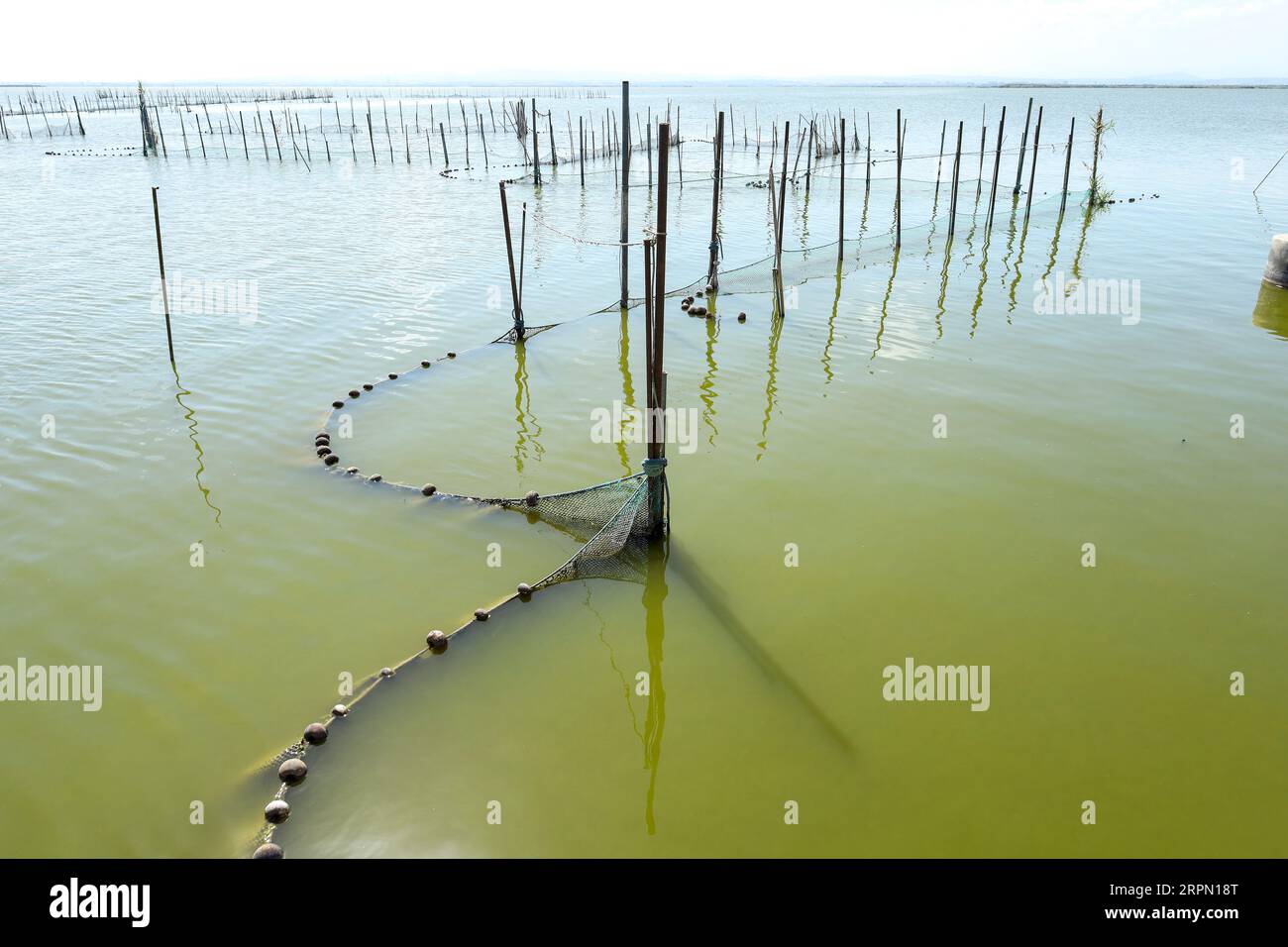Typical Fishing System with Rods and Sticks in the Albufera Lagoon in