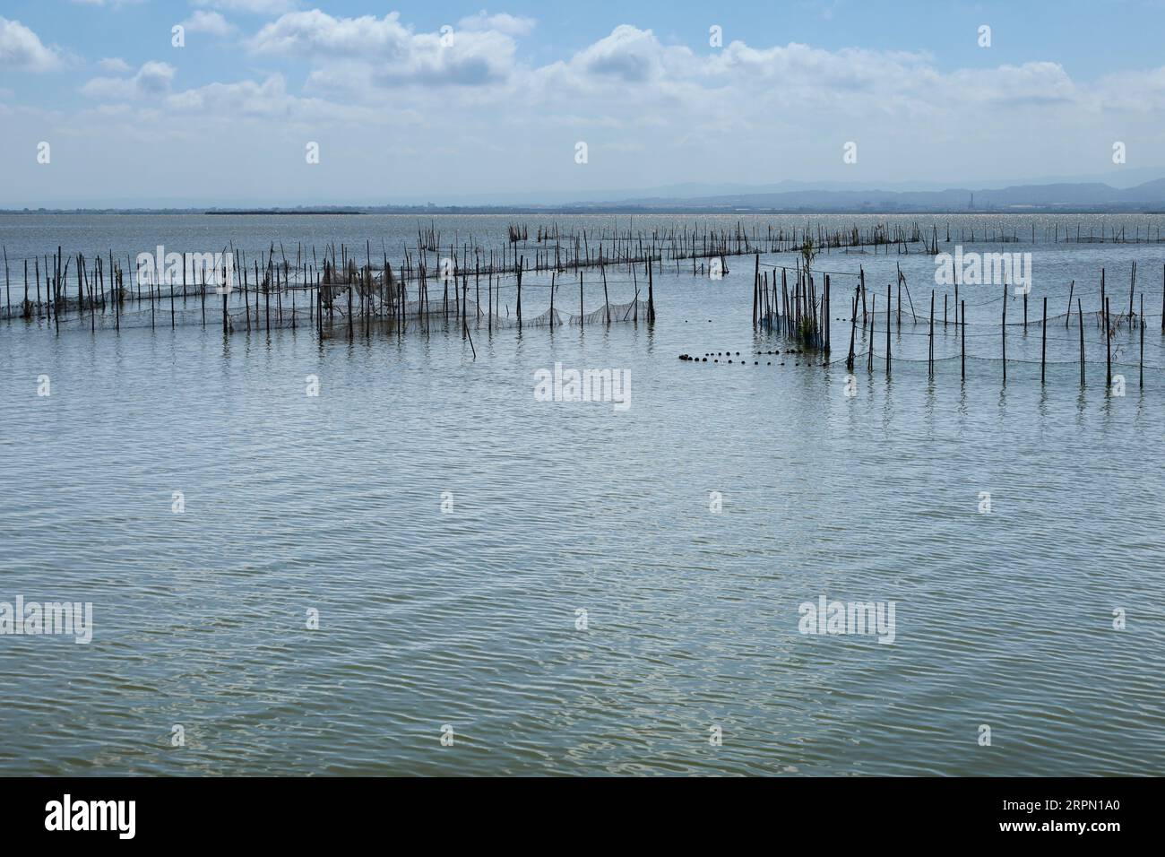Typical Fishing System with Rods and Sticks in the Albufera Lagoon in