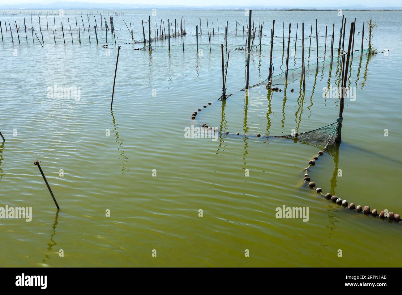 Typical Fishing System with Rods and Sticks in the Albufera Lagoon in