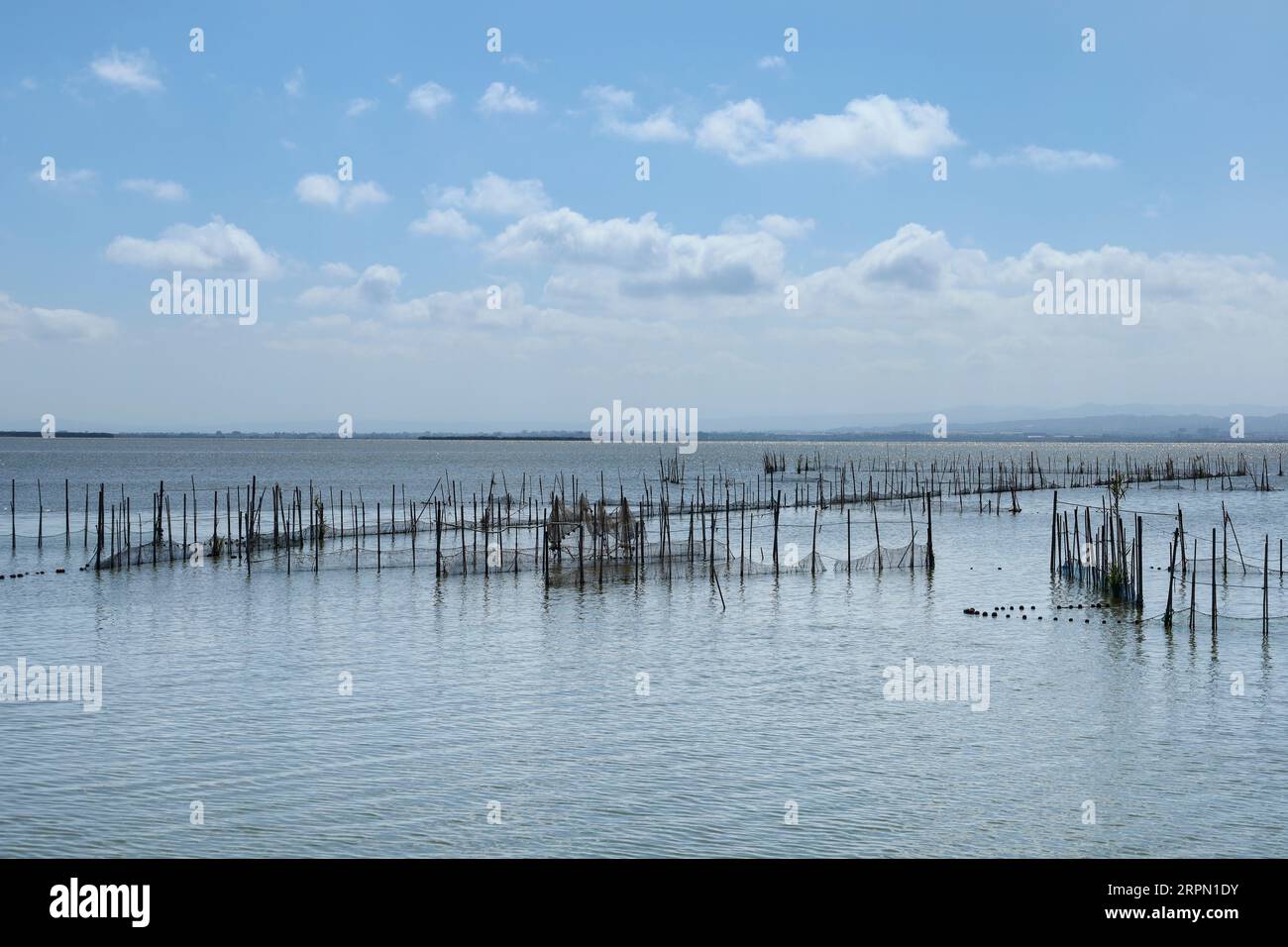 Typical Fishing System with Rods and Sticks in the Albufera Lagoon in