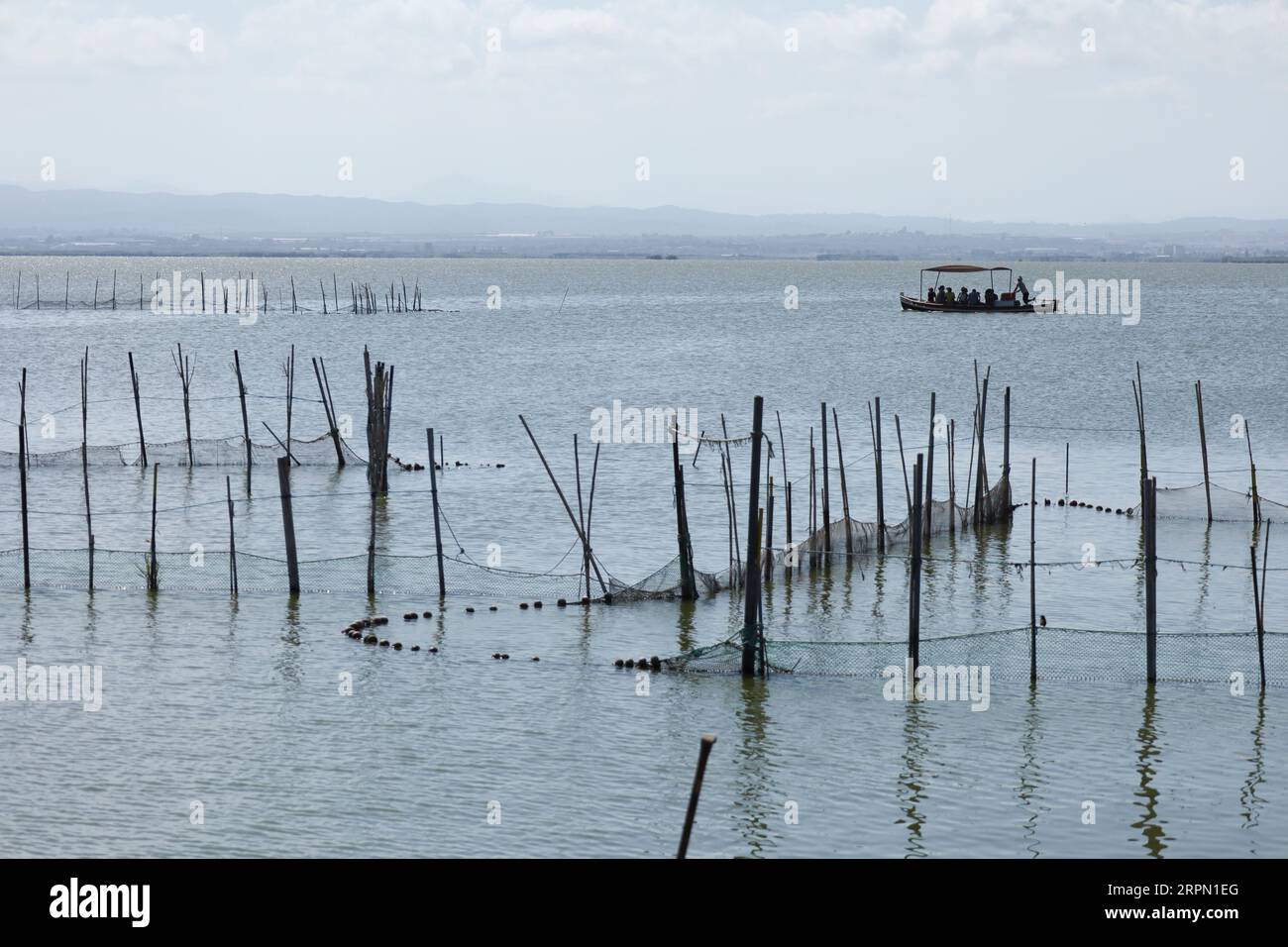 Typical Fishing System with Rods and Sticks in the Albufera Lagoon in