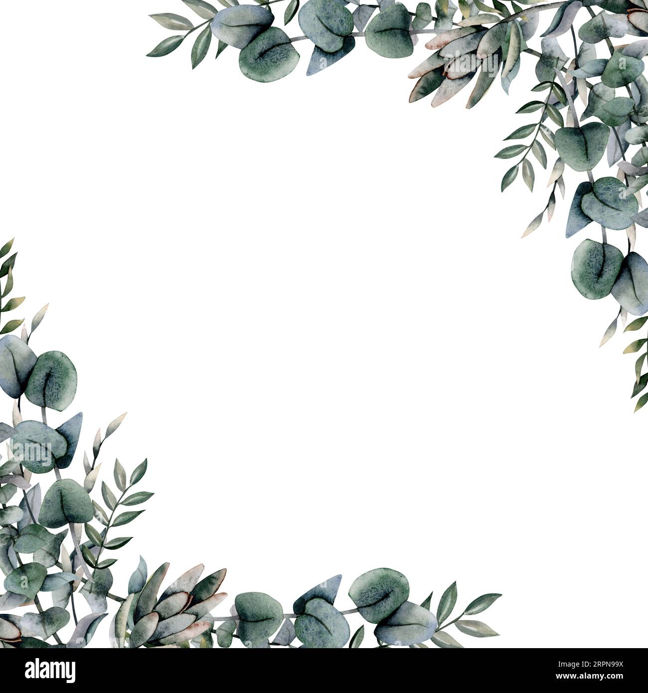 Eucalyptus square corner frame with silver dollar branches. Elegant ...