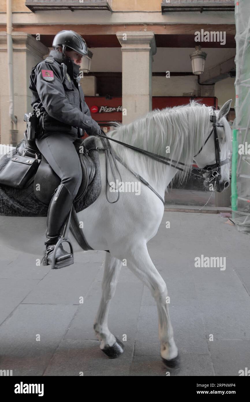 Policewoman on horseback observing and helping people on the way to the Puerta del Sol square in Madrid. Stock Photo