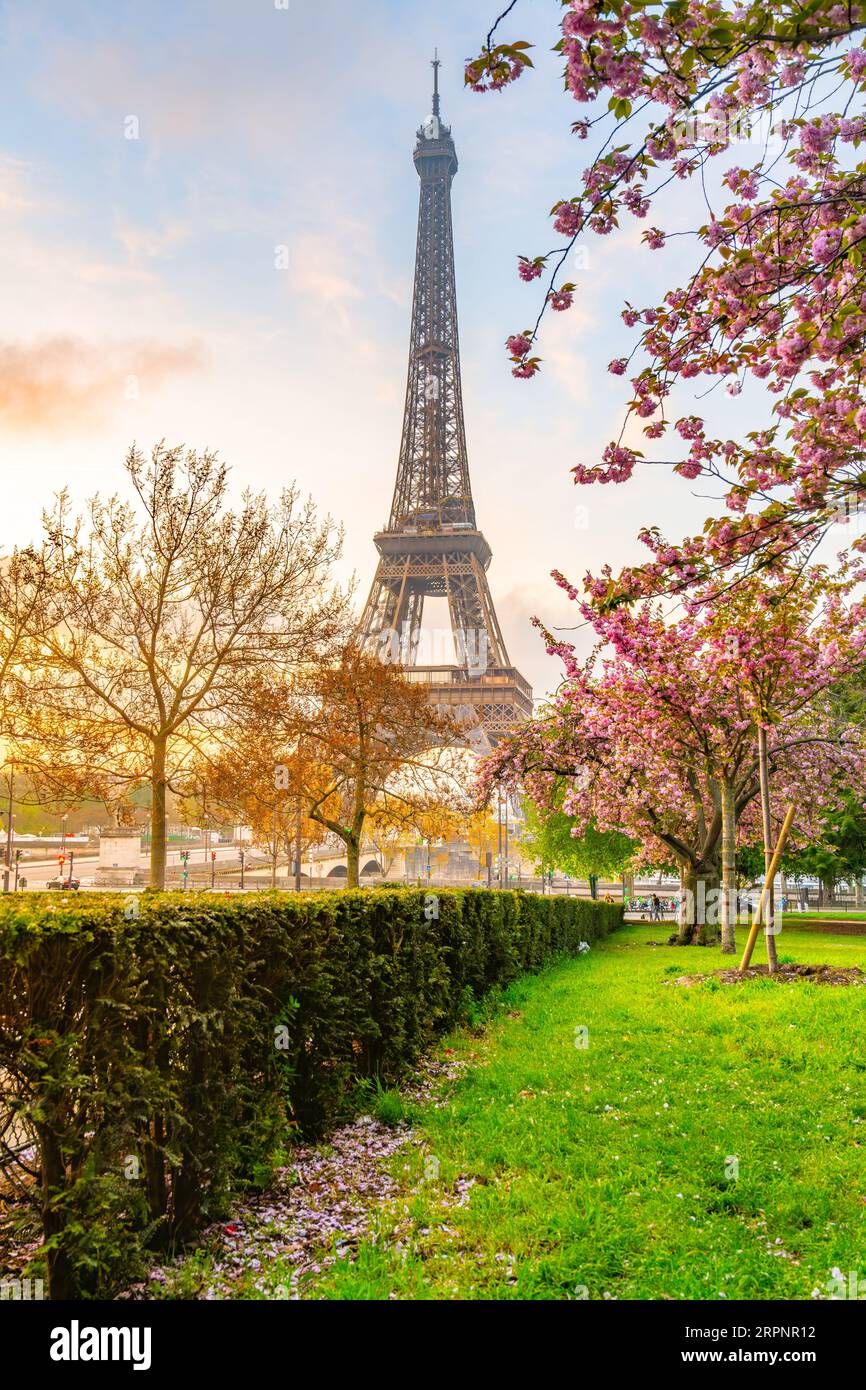 Sunrise in blooming park at Eiffel Tower. Spring morning in Paris, France Stock Photo